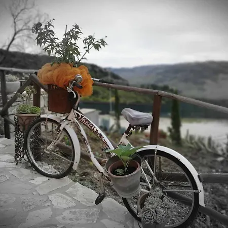 Hotel San Nicola - Restaurant And Wellness Fitness
