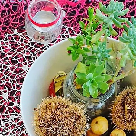 Hotel San Nicola - Restaurant And Wellness Fitness
