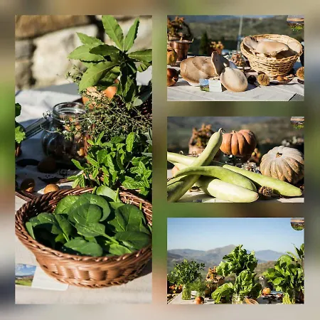 San Nicola - Restaurant And Wellness Fitness 3* Polizzi Generosa