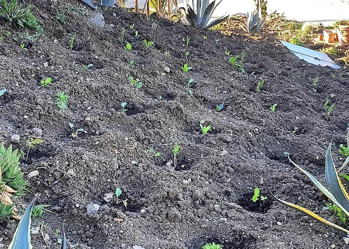 酒店 San Nicola - Restaurant And Wellness Fitness