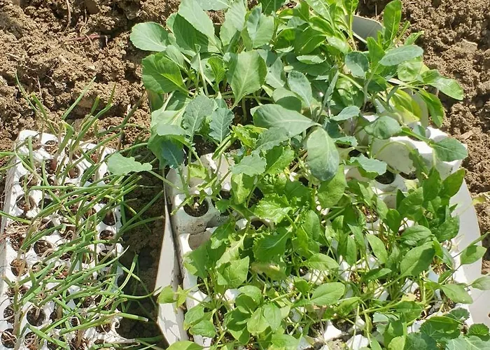 酒店 San Nicola - Restaurant And Wellness Fitness