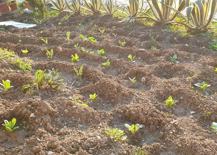 San Nicola - Restaurant And Wellness Fitness 3* 波利齐杰内罗萨