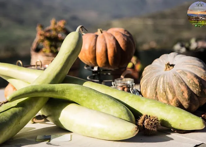 酒店 San Nicola - Restaurant And Wellness Fitness 波利齐杰内罗萨