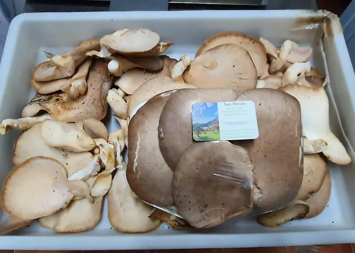 San Nicola - Restaurant And Wellness Fitness 酒店 3*